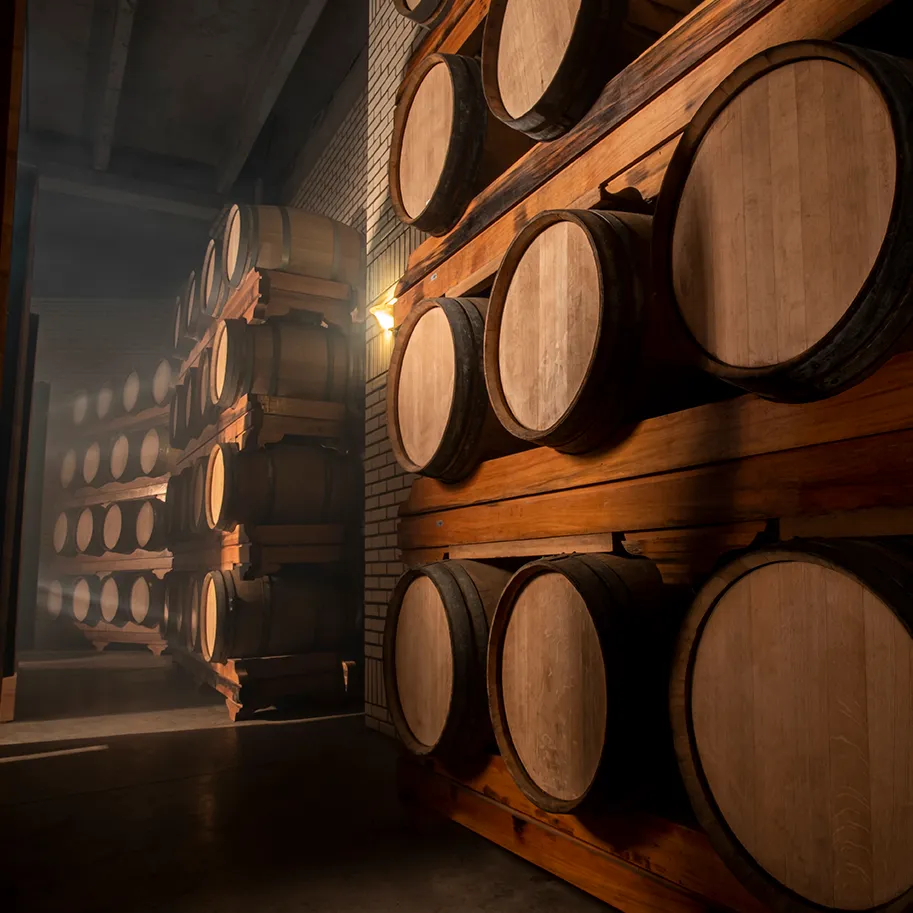 Casa Valduga Products